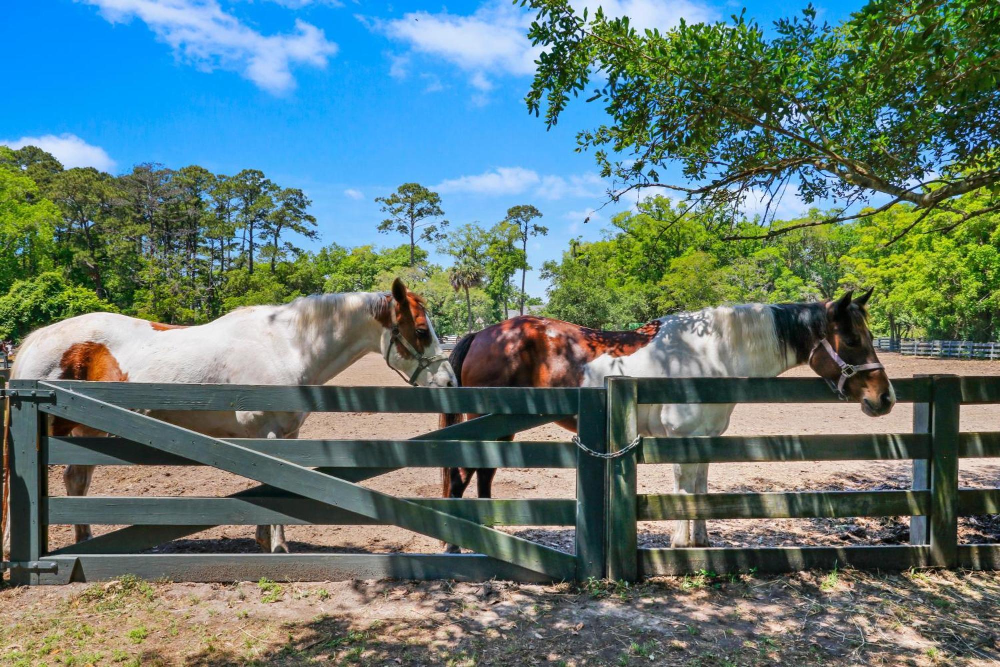 30 Ruddy Turnstone | Ruddy Retreat Βίλα Hilton Head Island Εξωτερικό φωτογραφία